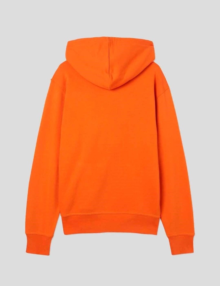 Sudadeira DICKIES mount vista hoodie burnt orange